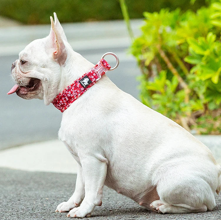 Floral Padded Dog Collar – Soft Cotton Comfort for Small, Medium & Large Dogs