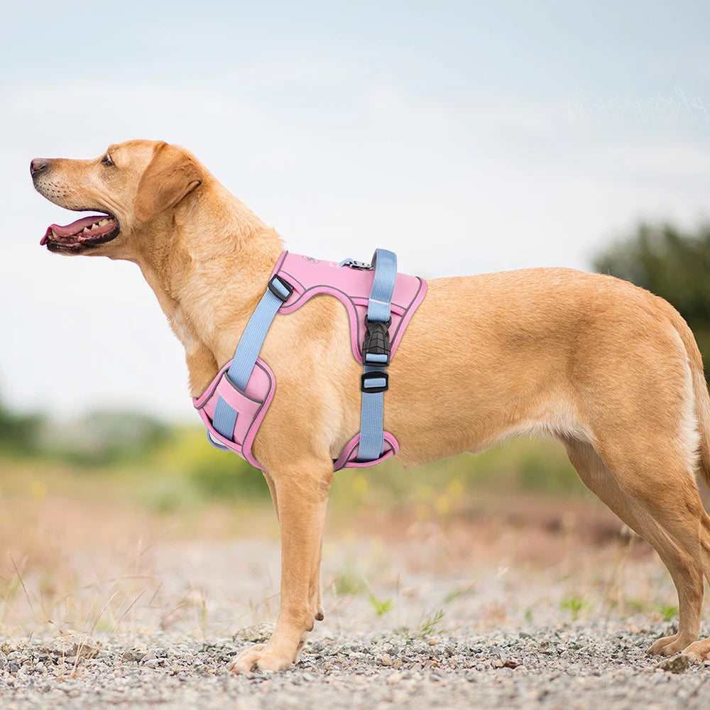 Reflective Mesh Dog Harness with Handle – Breathable & Adjustable