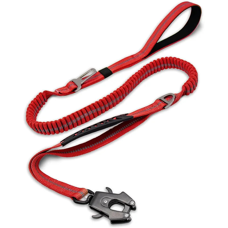 Premium red bungee leash studio photography