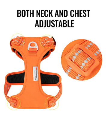 Orange dog harness with adjustable features on a white background