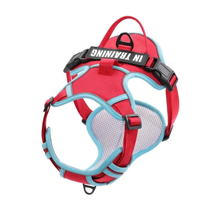 Personalized Dog Harness – Reflective No Pull Nylon Vest with Custom Name Patch