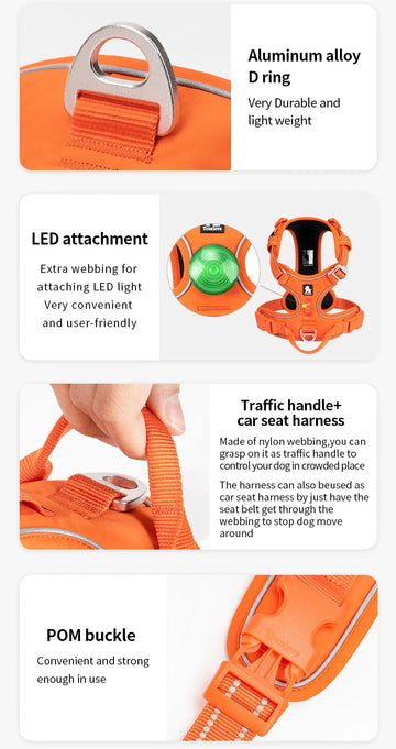 Orange dog harness with features highlighted on a white background