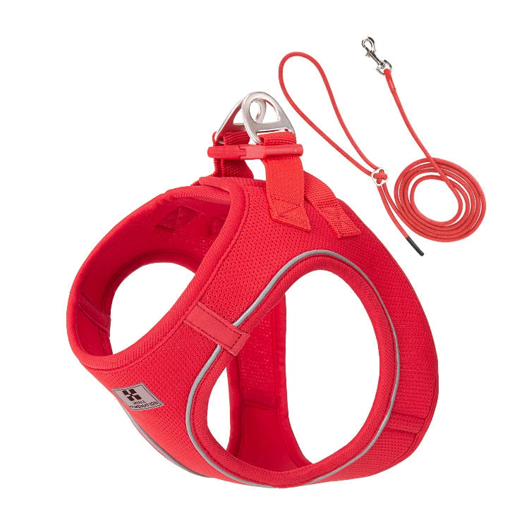Wine red dog harness and leash set on a white background