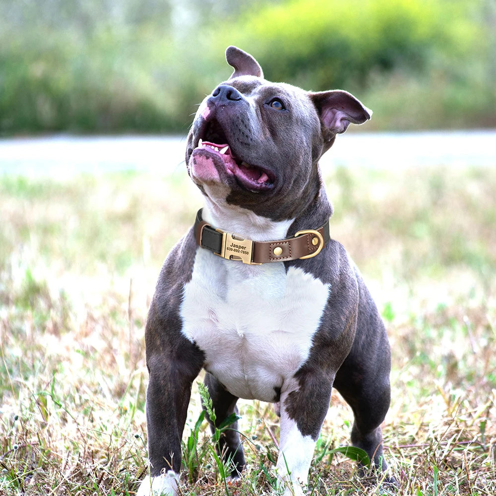 Personalized Engraved PU Leather Dog Collar with Name & Phone Number – Adjustable ID Collar for Small, Medium & Large Dogs