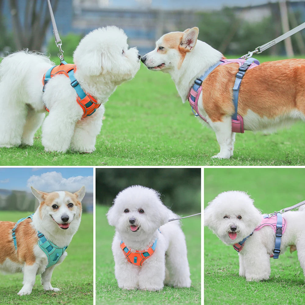 Reflective Mesh Dog Harness with Handle – Breathable & Adjustable