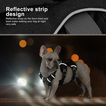 Dog wearing a No Pull Reflective Dog Harness at night with a car's headlights in the background.