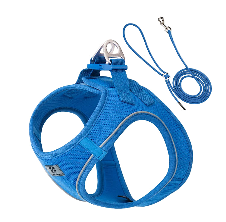 Blue dog harness and leash set on a white background