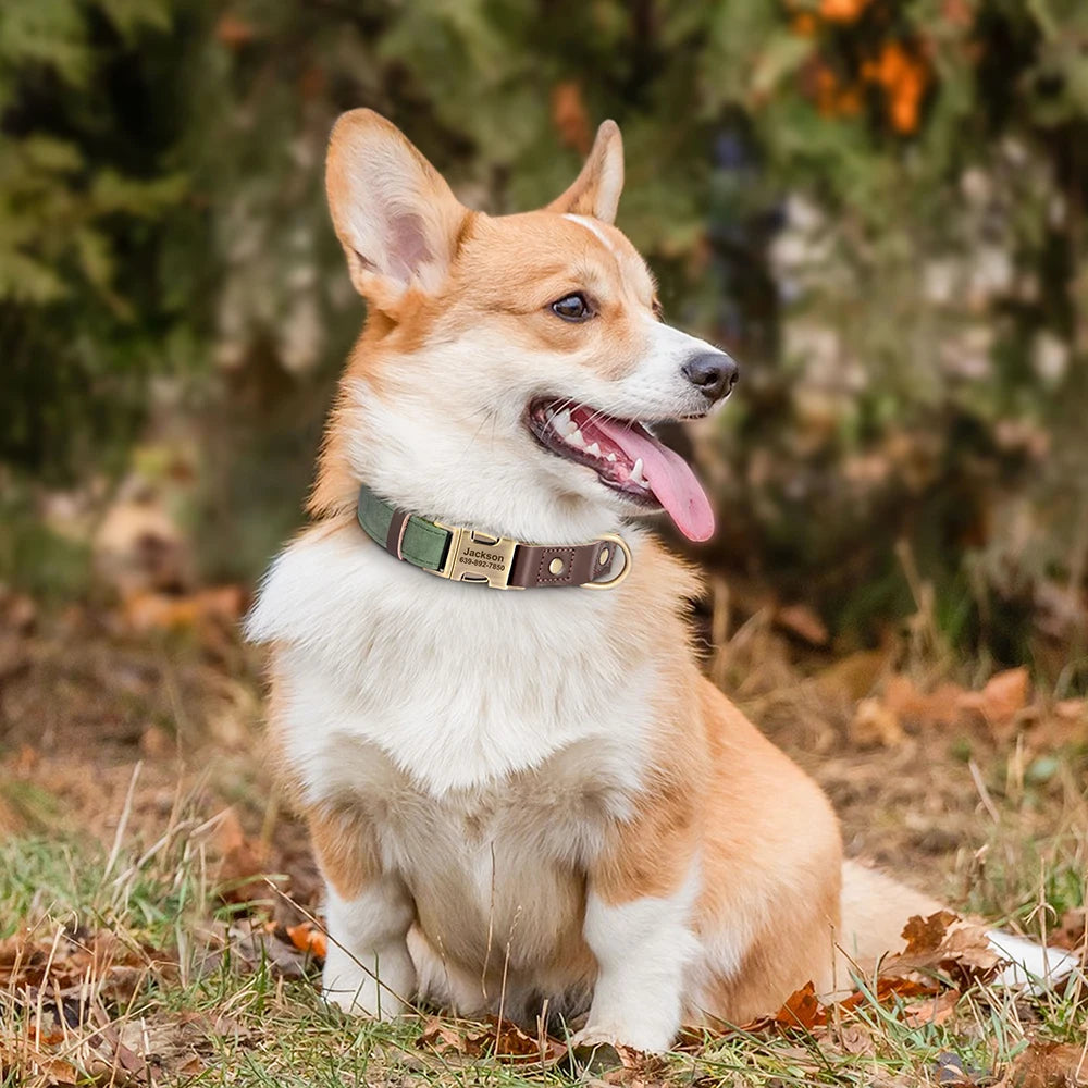 Personalized Engraved PU Leather Dog Collar with Name & Phone Number – Adjustable ID Collar for Small, Medium & Large Dogs