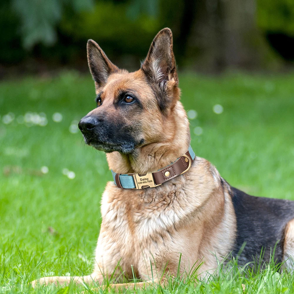 Personalized Engraved PU Leather Dog Collar with Name & Phone Number – Adjustable ID Collar for Small, Medium & Large Dogs