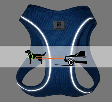 Reflective dog harness with text highlighting safety features on a gray background