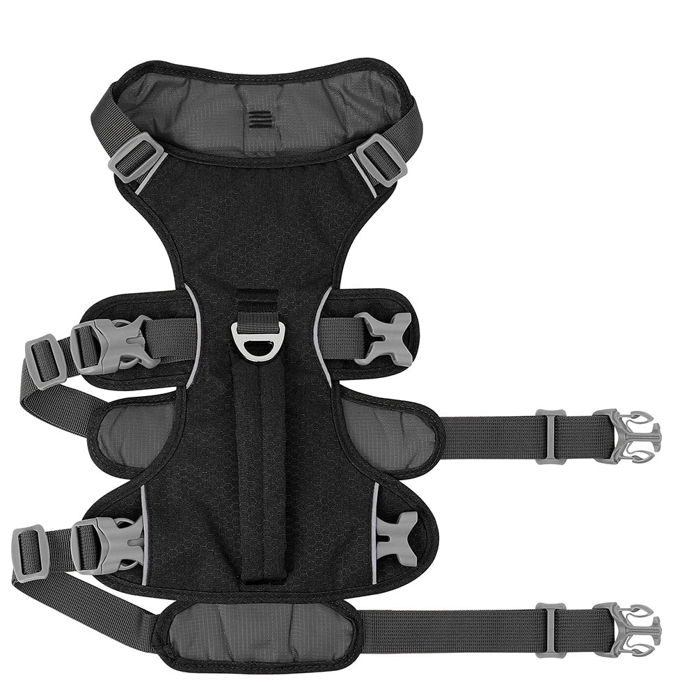 Black dog harness with reflective design on a white background
