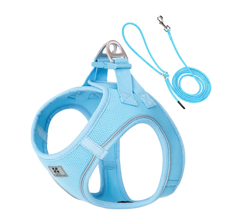 Light blue dog harness and leash set on a white background