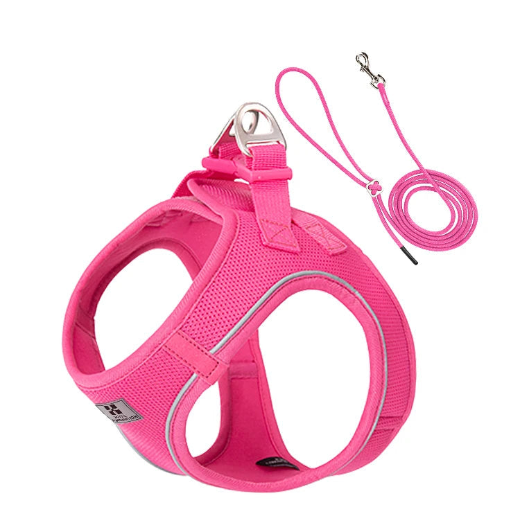 Pink dog harness and leash set on a white background