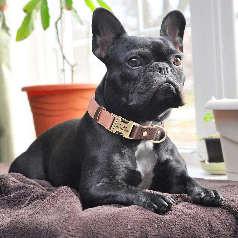 Personalized Engraved PU Leather Dog Collar with Name & Phone Number – Adjustable ID Collar for Small, Medium & Large Dogs