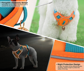 Dog wearing an orange and blue harness with reflective design, hanging accessory, and night protection features.
