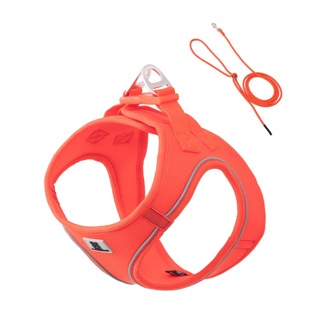 Orange dog harness with reflective stripes and a matching leash on a white background