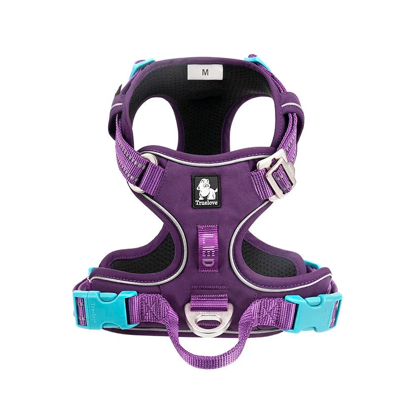 Purple dog harness with teal accents on a white background