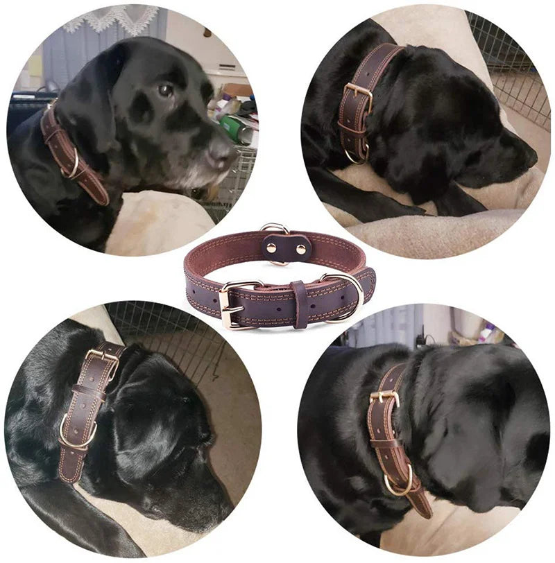 Genuine Leather Dog Collar – Heavy Duty Double D-Ring for Medium & Large Dogs
