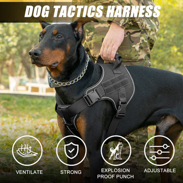 Dog wearing a tactical harness with a person holding it, outdoors.