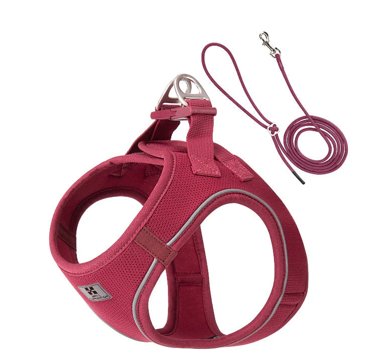Wine red dog harness and leash set on a white background