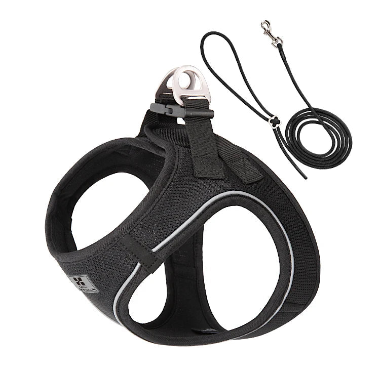 Black dog harness with reflective trim and attached leash on a white background