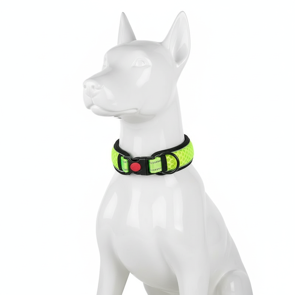 Dog collar on white mannequin