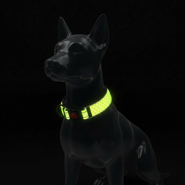 Night reflective collar photography